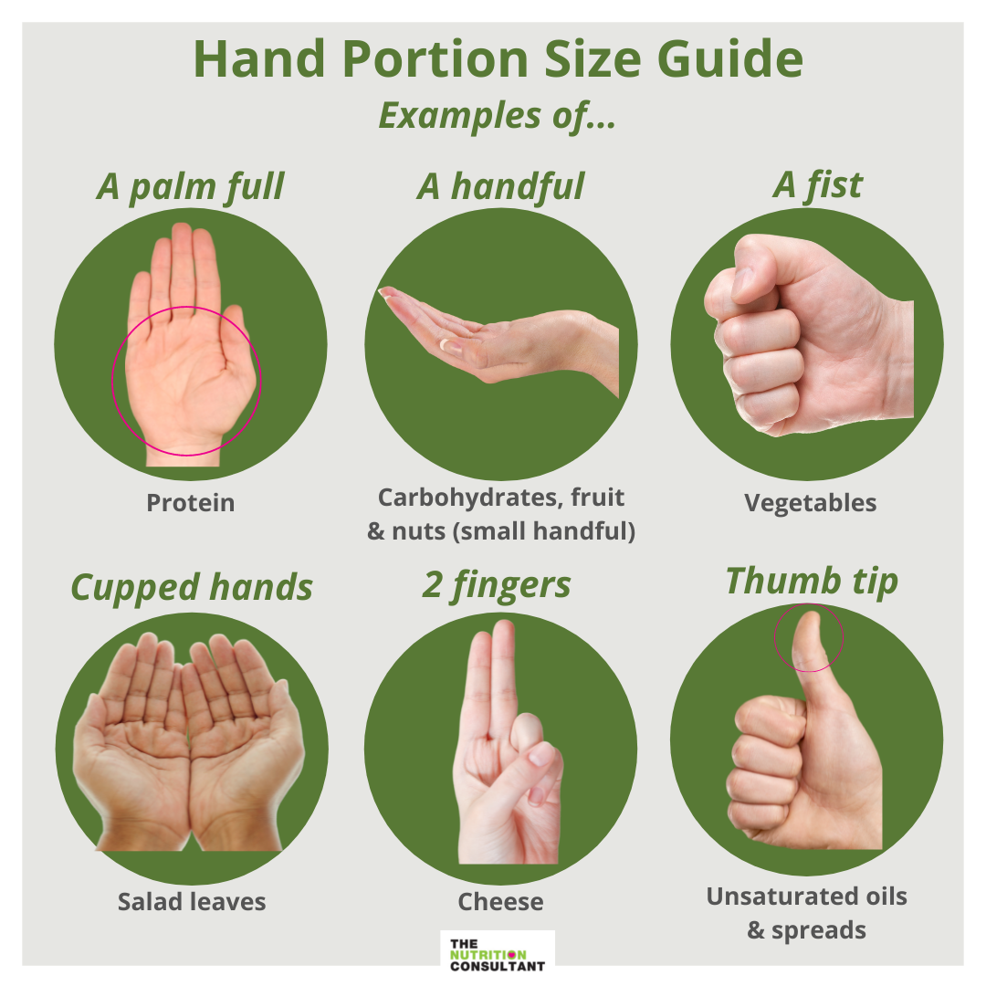 building-a-balanced-plate-portion-size-guide-the-nutrition-consultant