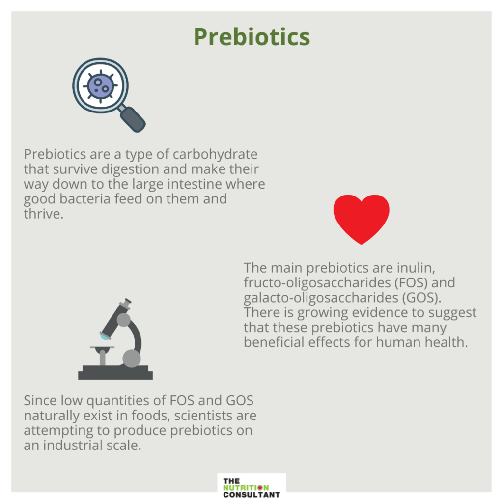 infographic of prebiotics