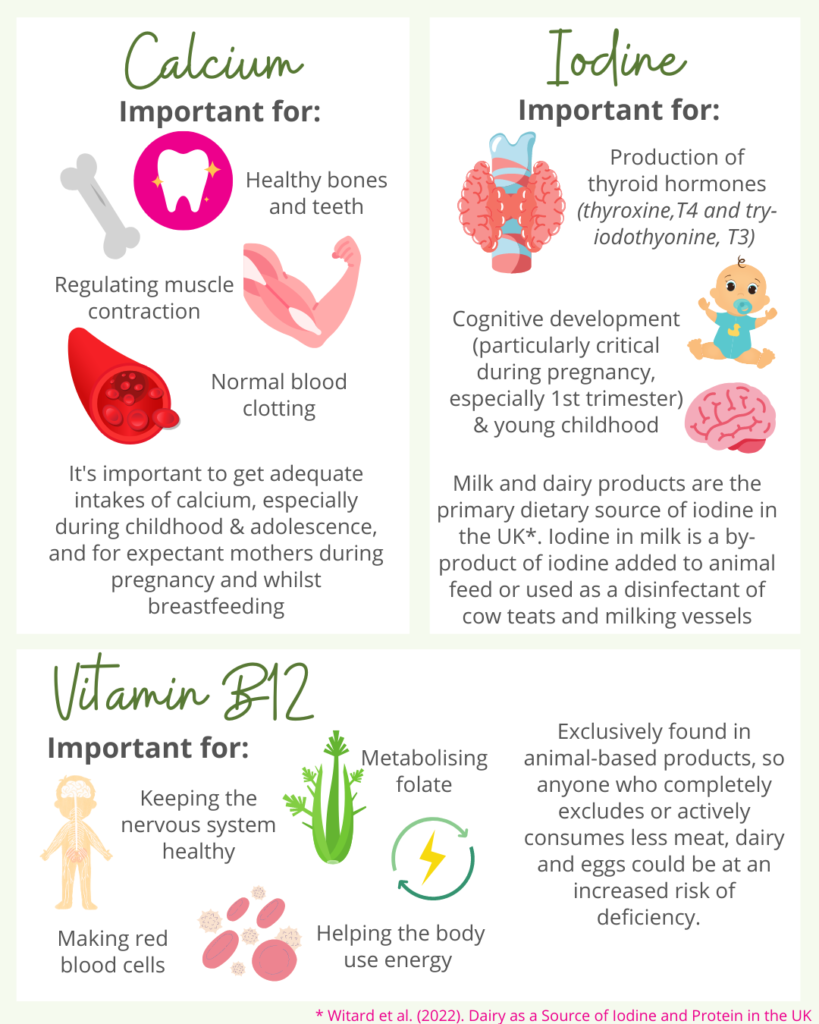 infographic showing nutrition of cow's milk